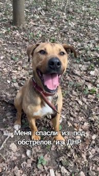 он хочет сделать тебя счастливым💜