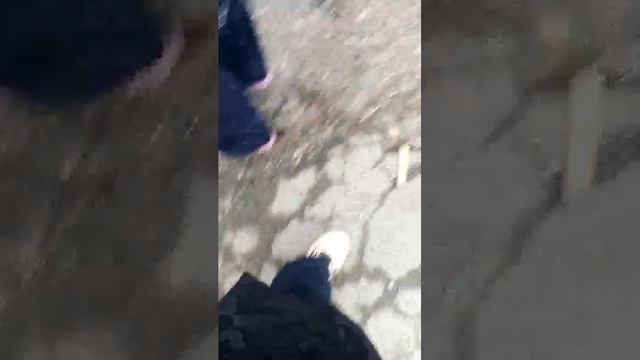 игра без предупреждения 2