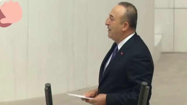 Çavuşoğlundan iyi partili erozona Hayrola Darbemi Yapacaksınız?
