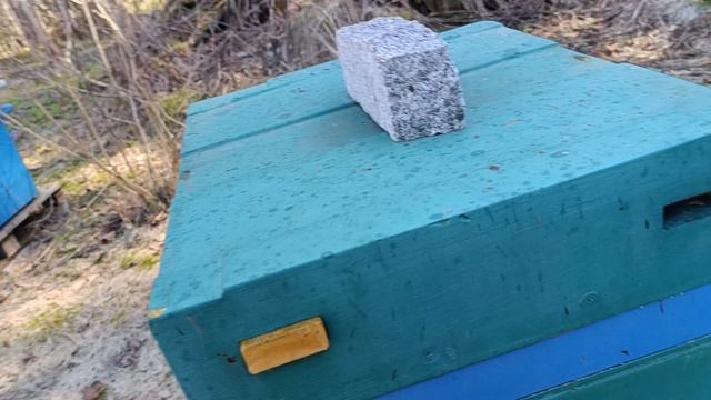 снова про карнику на севере