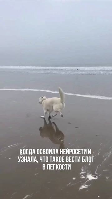 ПОДПИСЫВАЙСЯ НА КАНАЛ➡️@content_smm
⠀