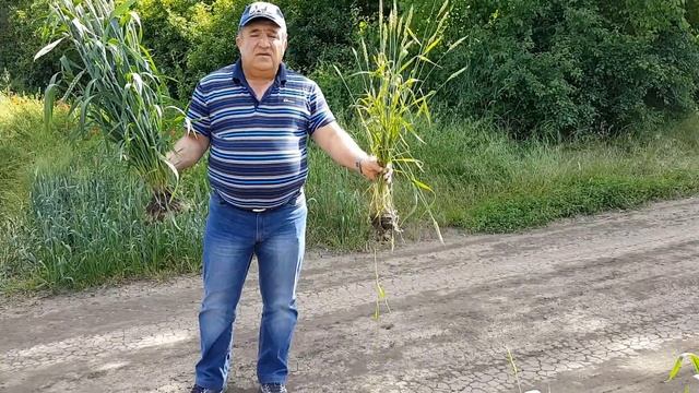 К бабке не ходи!