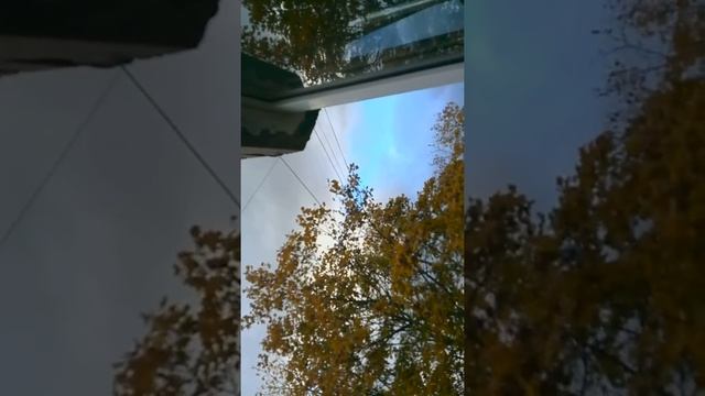 28 марта 2017 г.