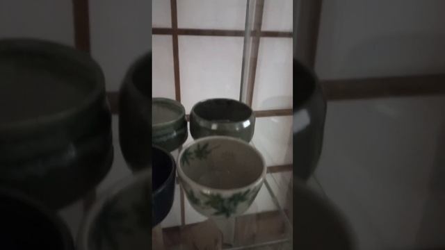 Культурный центр Сибирь - Хоккайдо в Новосибирске