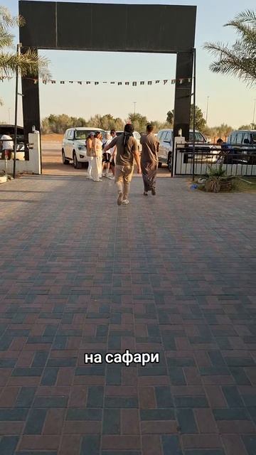 Сафари Дубай
