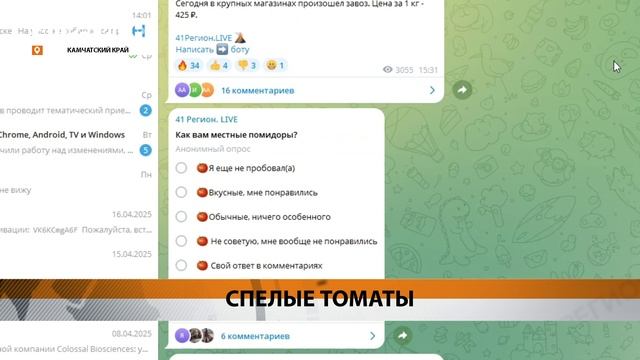 ТОМАТЫ С ТЕПЛИЧНОГО КОМПЛЕКСА «КАМЧАТСКИЙ» ПОСТУПИЛИ В ПРОДАЖУ • НОВОСТИ КАМЧАТКИ