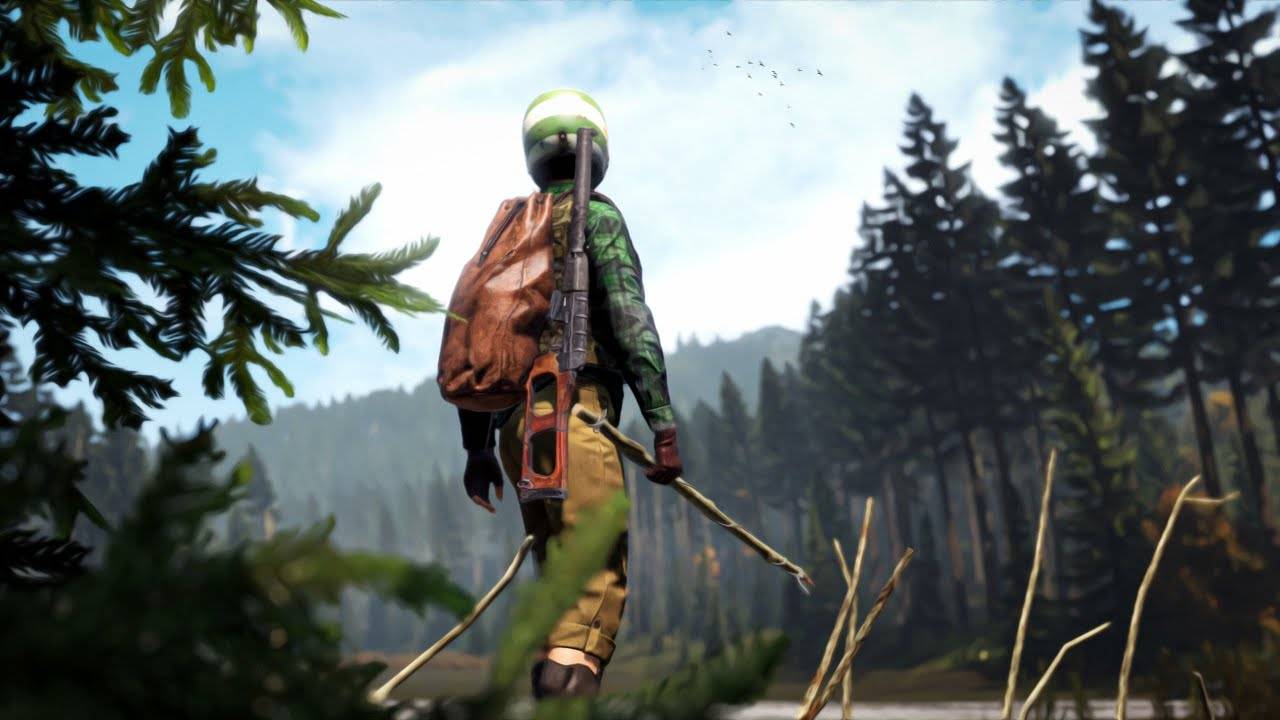 Соло выживание в DayZ \ С нуля в DAYZ \ Новое выживание в DayZ Серия 2