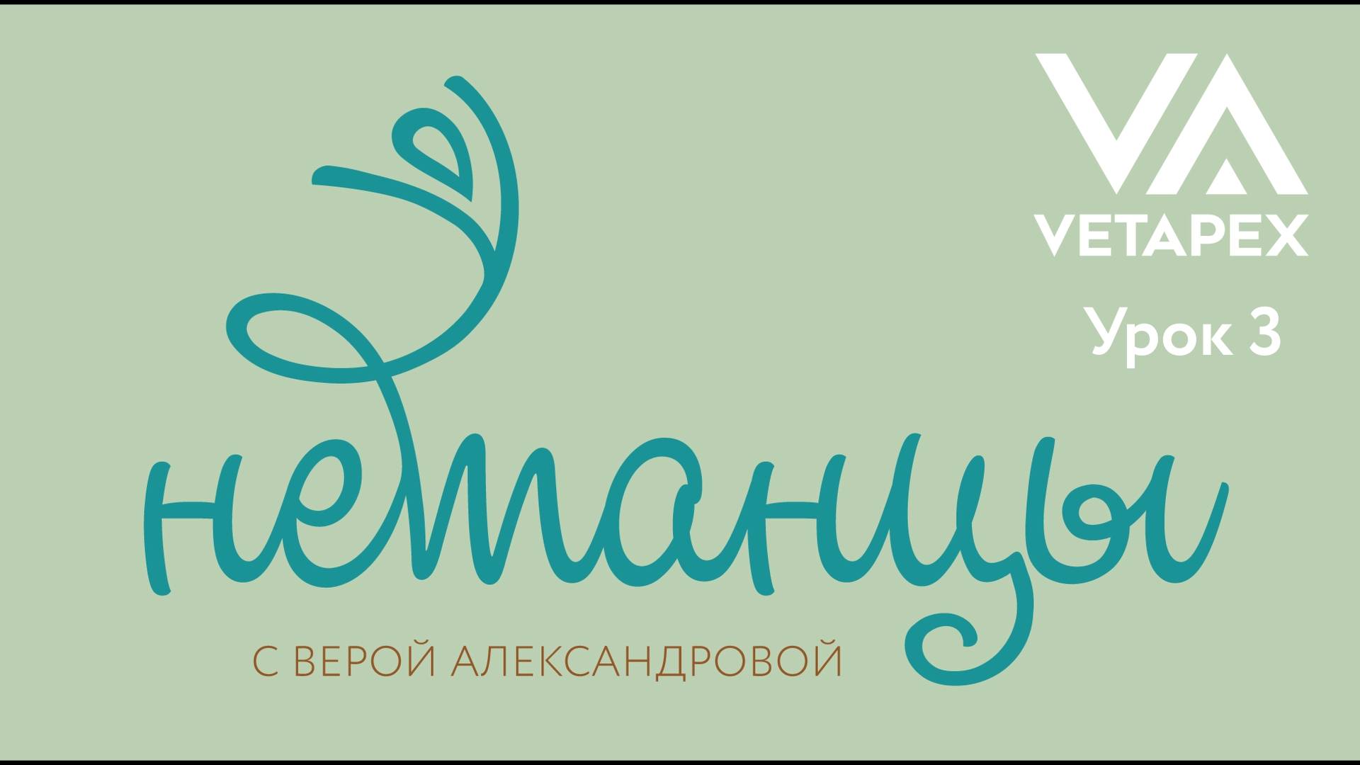НЕтанцы с Верой Александровой. Урок 3