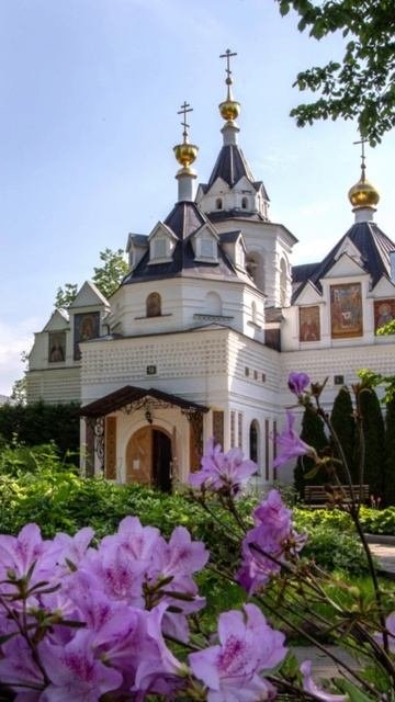 Душевный лекарь#Церковь#shortvideo#shorts#Молитва#Православие
