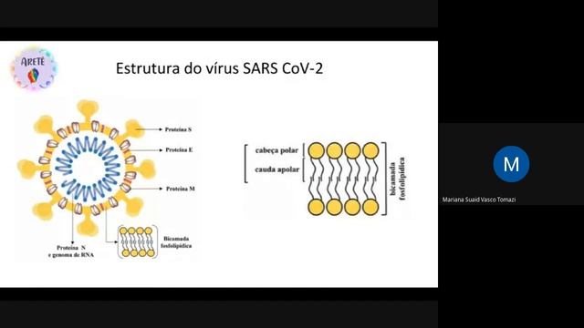 Aulão Pandemia e seus impactos
