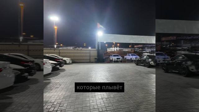 Огромное количество машин на аукционе #автоиздубай #аукцион #аукциондубай #дубайавто