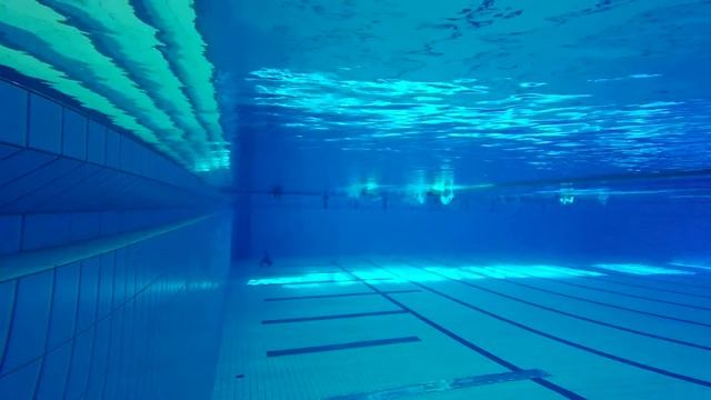 Freediving: 58/59m - Dynamic with fins | Poznań, Poland
