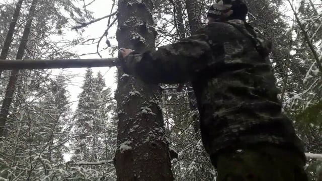 очередная проверка и постановка капканов на куницу 2021-2022