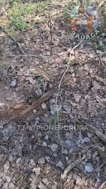 Хохлы обрабатывают радиоактивной смесью дроны и сами «морковки».