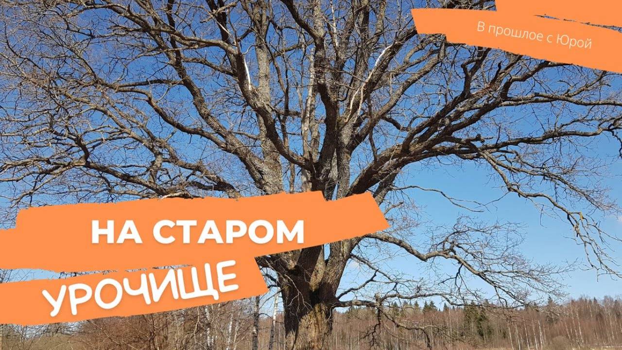 Коп ранней весной на старом урочище.