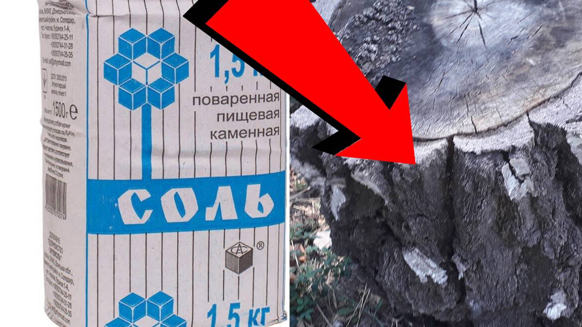 Как быстро избавиться от пня Навсегда За 3 Секунды.!.!.!..