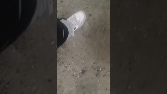 рум тур по участку