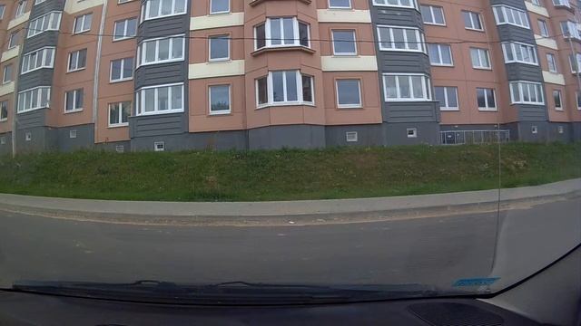 заяц в городе