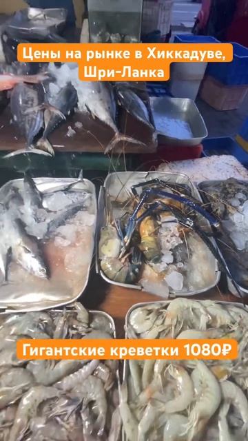 Цены на морепродукты на Шри Ланке в 2023 2024 году #шриланка