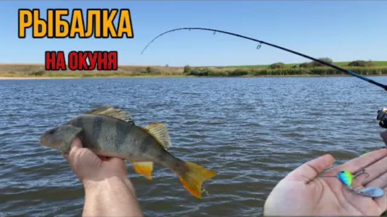 ЛУЧШАЯ ПРИМАНКА НА ОКУНЯ!РЫБАЛКА на Спиннинг!!