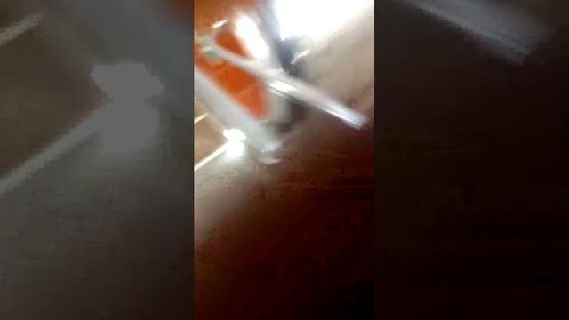 Едем из экскурсии русский музей