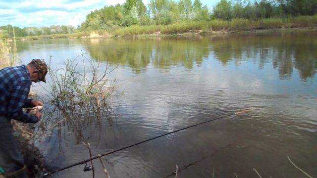 Рыбалка на Медведице 24 04 2025 г