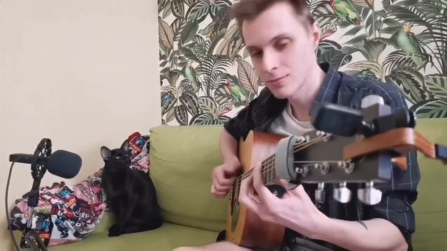 Черный кот поет блюз