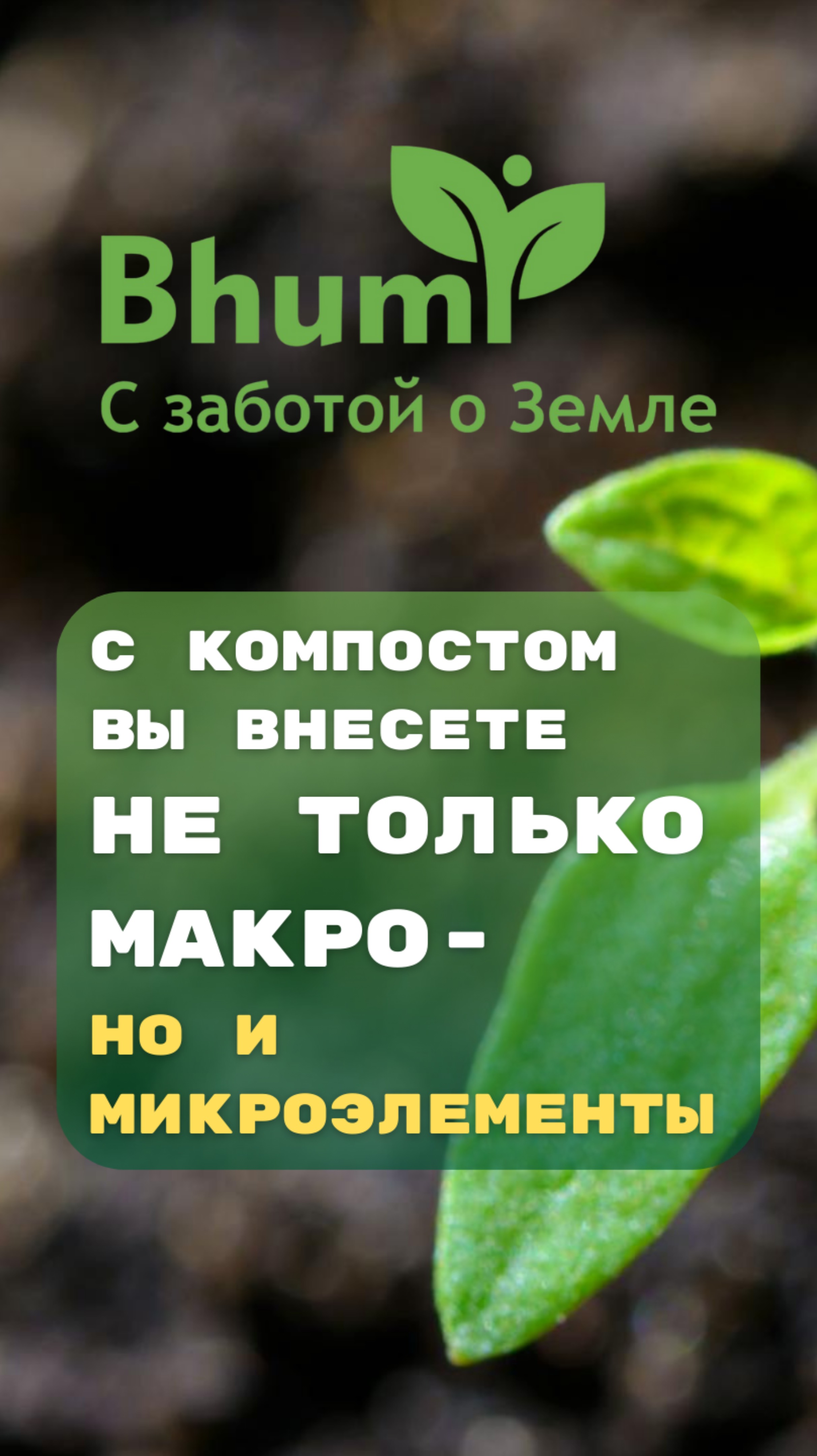 Помимо макроэлементов с компостом вы вносите ещё микроэлементы #компост #органика #здоровье #bhumi