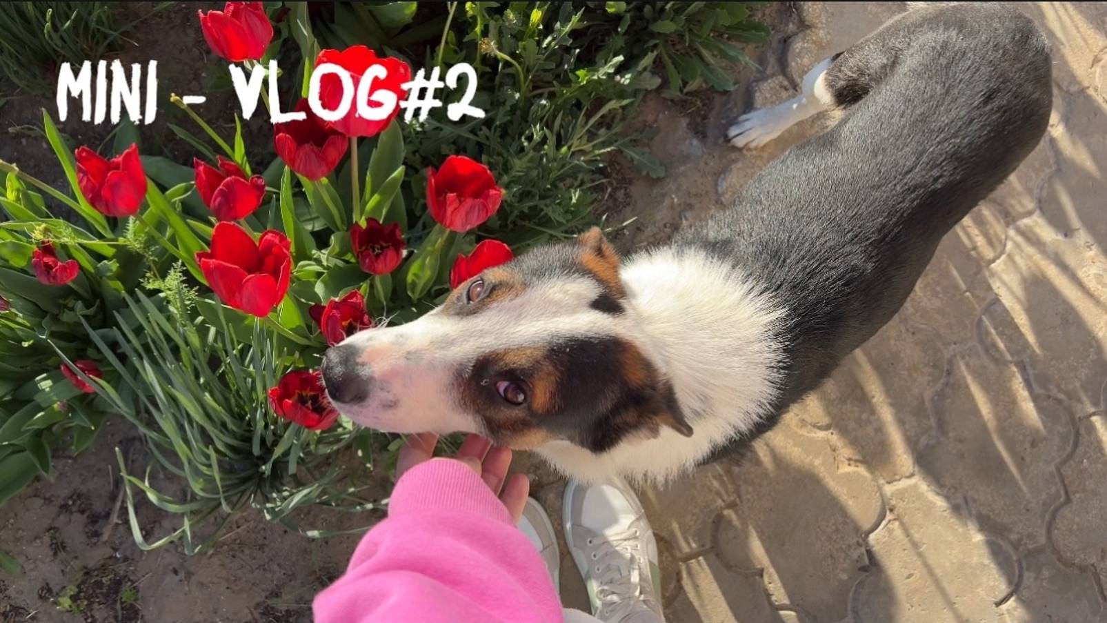 Mini - VLOG#2. Поездка к родителям, Пасха, Бьюти-минутка