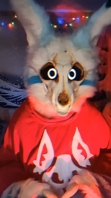 Первое правило клуба! #furry #shorts #фурри