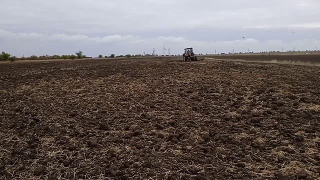 ЮМЗ - 6. БОРОНОВАНИЕ ПОСЛЕ ПАХОТЫ.