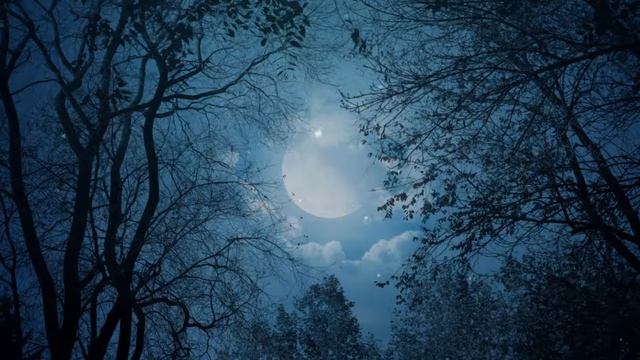 Jin Shi - Night Of The Piano 11