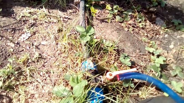 Жарим шашлык и банан