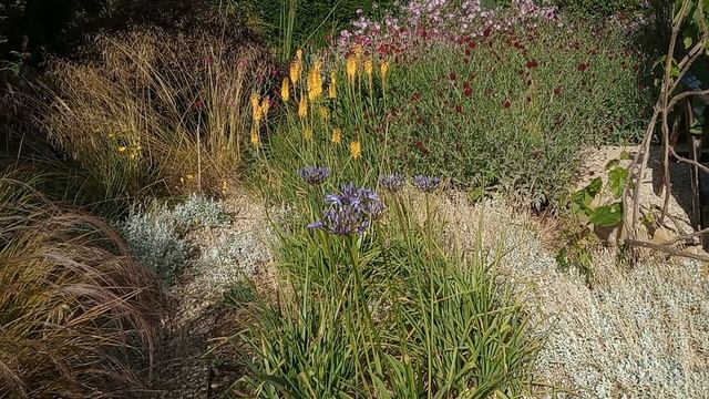 July in the Naturalistic garden.