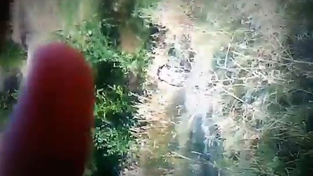 кик бутовский в реальной жизни 1 серия