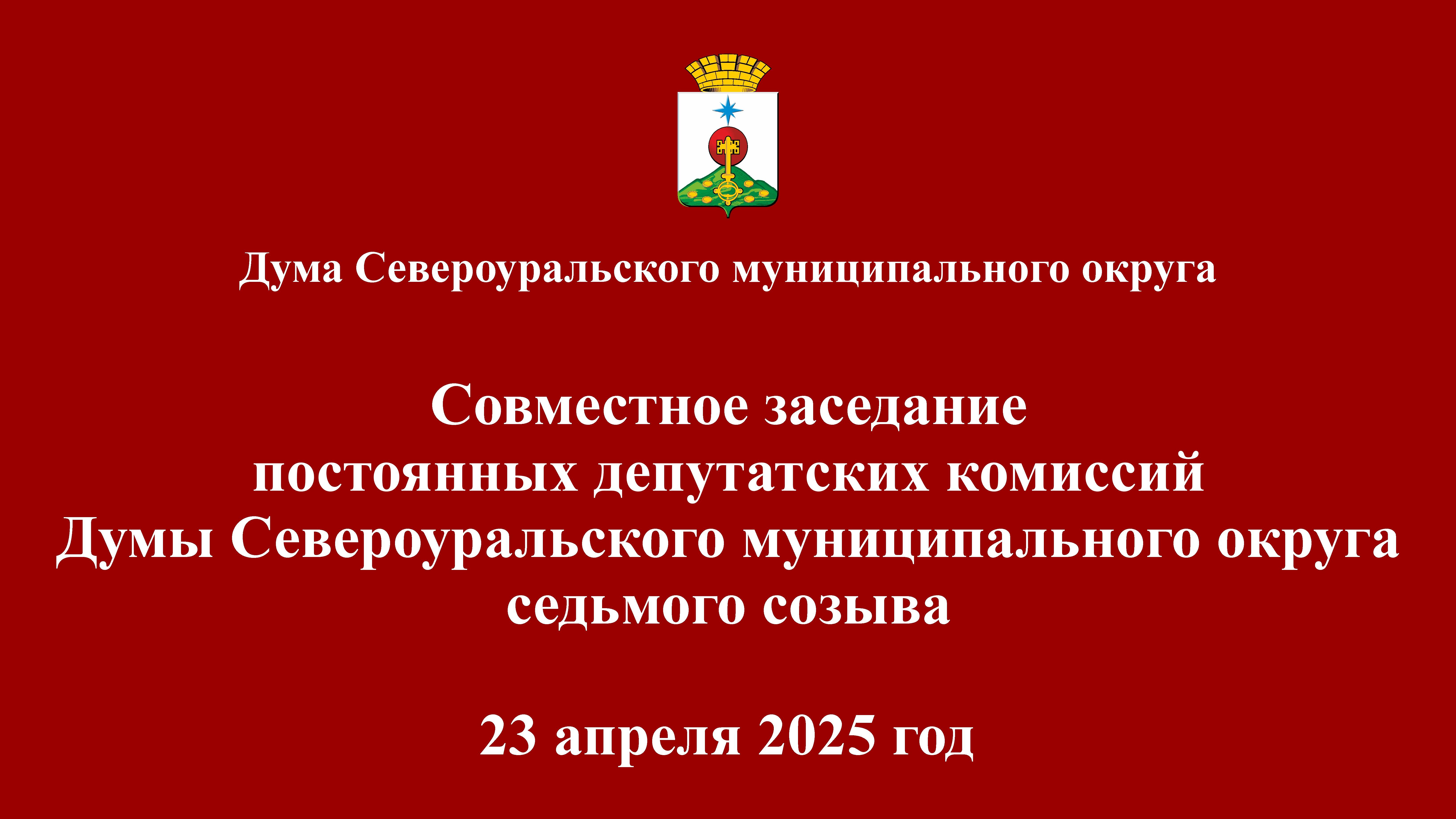 Совместное заседание постоянных депутатских комиссий 23.04.2025