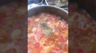 Нон палов.