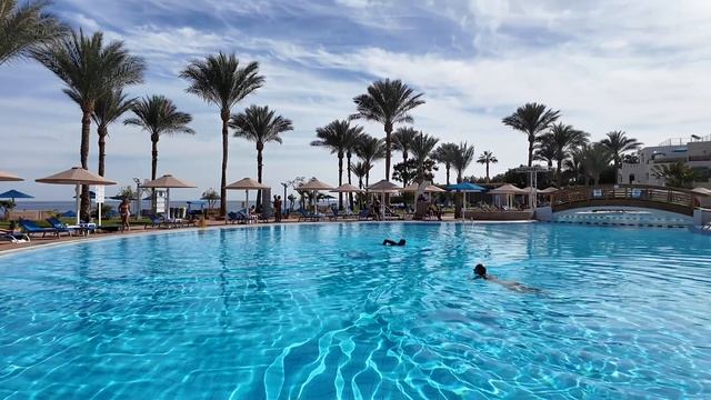 ОБЗОР ОТЕЛЯ
PICKALBATROS ROYALGRAND RESORT/ЕГИПЕТ
2025/ ШАРМ ЭЛЬ ШЕЙХ