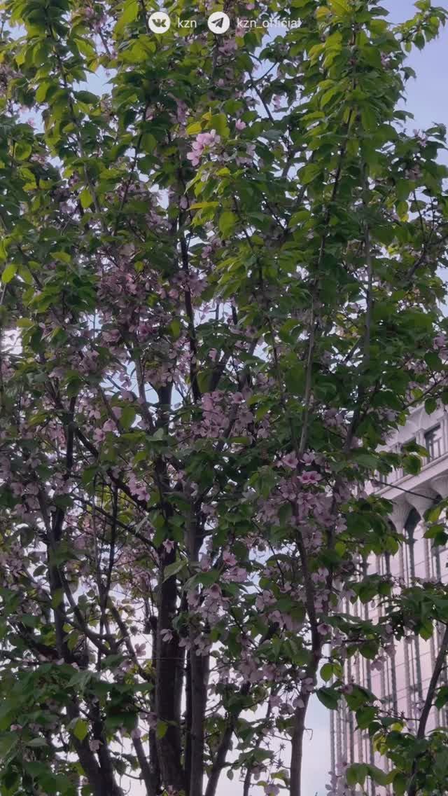 Именно так ощущается конец апреля в Казани ✨