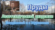 Как выглядят проблемные пруды Журавли и Иорданский в парке Лесотехнической академии