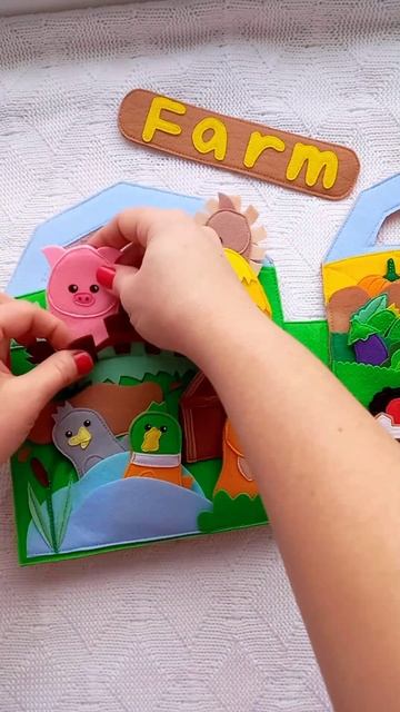 Книга из фетра Ферма