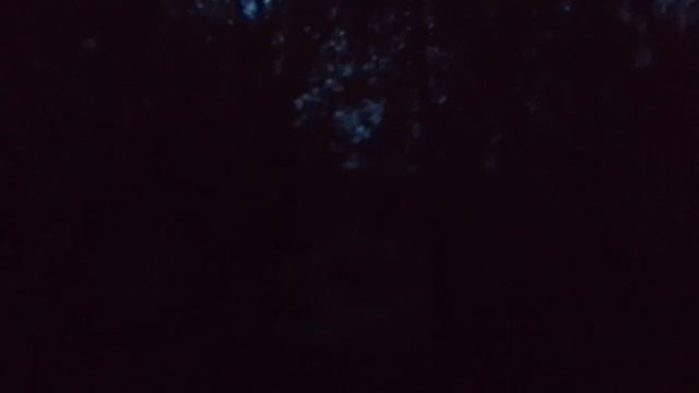 красивые вечерние звуки природы