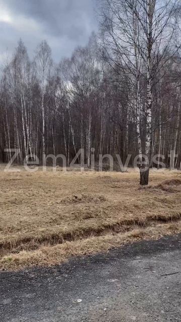Новое Горелово