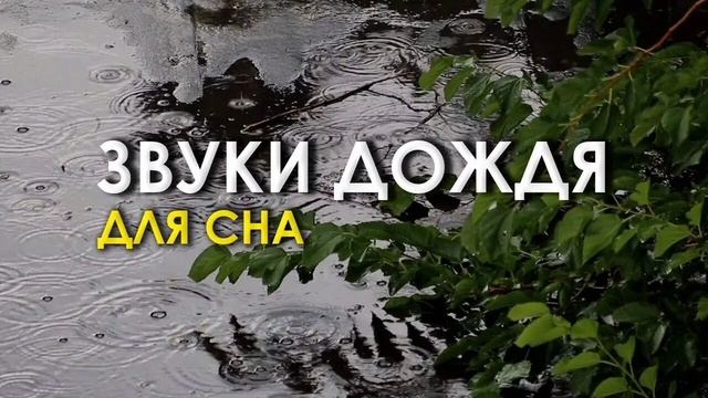 Вы быстро заснете под нежный звук капель дождя по листьям в саду
