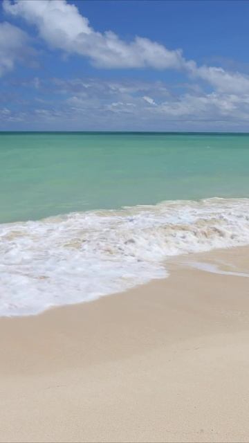 Релакс с природными мелодиями и морем 🌊🌲🍃