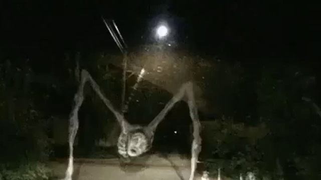 1000005609.mp4