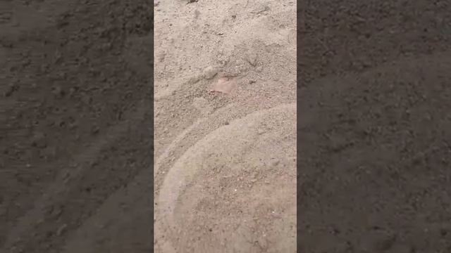 продолжаем прошлое видео которое мы