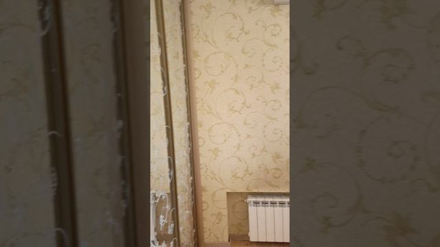 1000602941.mp4