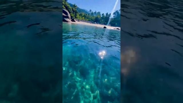 ✨чудеса природы ✨