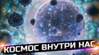 Все о бактериях!